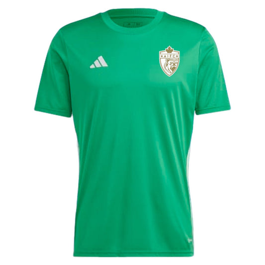 AIFC Adidas Tabela 23 Goalkeeper Training Jersey Green Youth