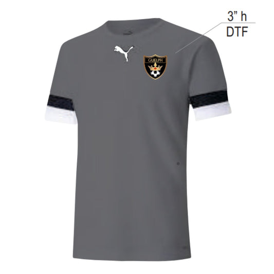 Maillot Puma TeamRise Smoked Pearl