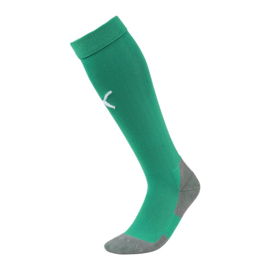 Waterloo United Puma TeamLIGA 26 Core Socks Green