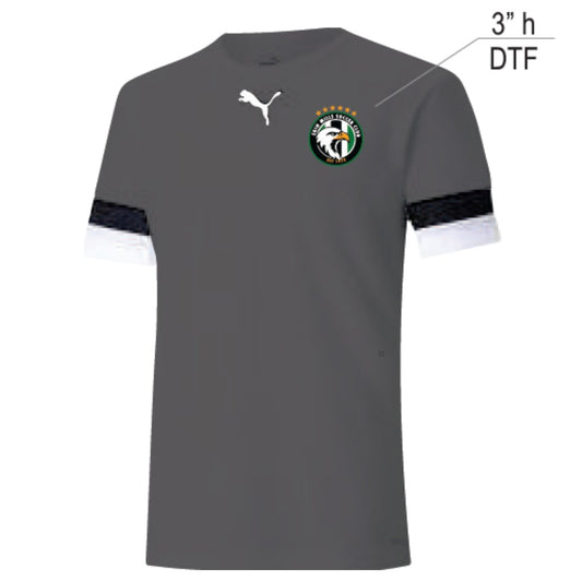 Erin Mills Puma TeamRise Jersey Smoked Pearl