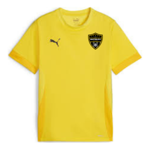 Waterloo United Puma TeamGoal Matchday Jersey Faster Yellow