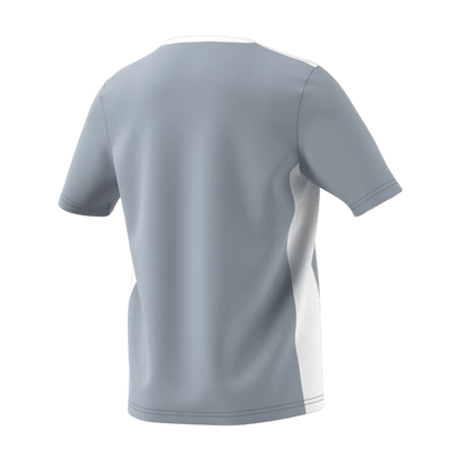 Adidas Entrada 18 Jersey Light Grey Youth
