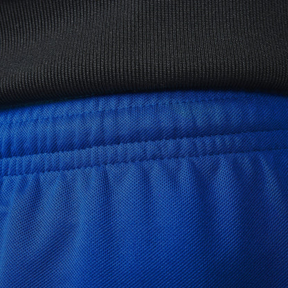 Adidas Parma 16 Shorts Royal Blue