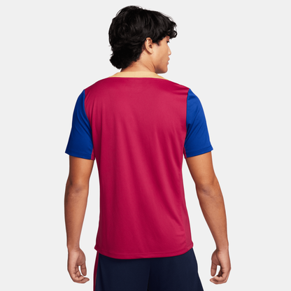Nike Barcelona Strike Pre-Match Jersey