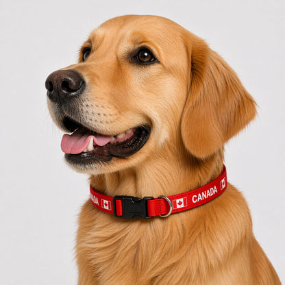 Canada Large Adjustable Dog Collar (Fits 16" to 26")