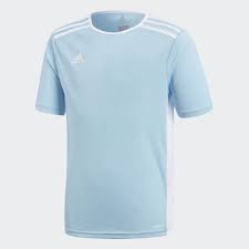 Adidas Entrada 18 Jersey Light Blue Youth