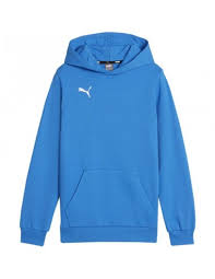 Puma TeamGoal Casuals Hoodie Youth Blue