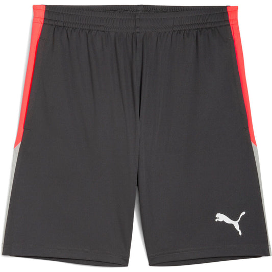 Puma IndividualLIGA Training Shorts