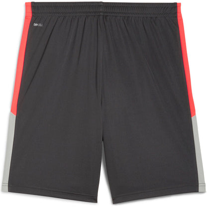 Puma IndividualLIGA Training Shorts