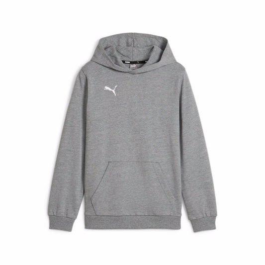 Puma TeamGoal Casuals Hoodie Grey