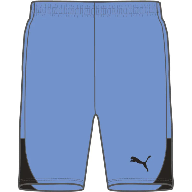 Puma TeamLiga 26 Shorts Youth Blue