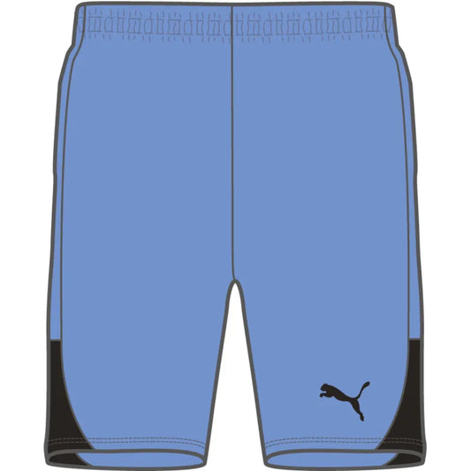 Puma TeamLiga 26 Shorts Youth Blue