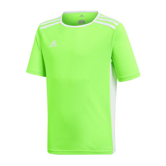 Adidas Entrada 18 Jersey Youth Solar Green